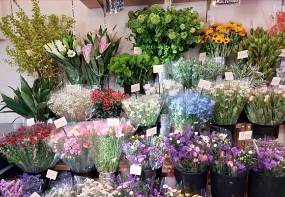 生花店舗及び加工卸に特化したはしづめ花苑