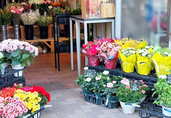 生花店舗及び加工卸に特化したはしづめ花苑