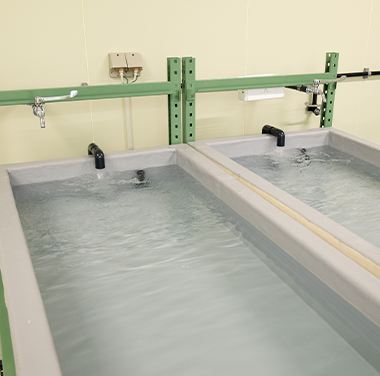 はしづめ花苑は最高品質のお花と安心をご提供